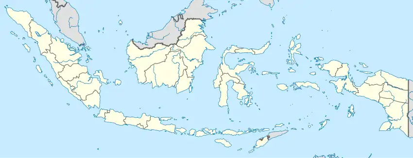 Manado (Indonesien)