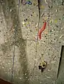 Indoor-Kletterwand