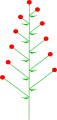 Disperse Verzweigung