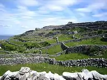 Blick auf O'Briens Castle