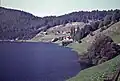 Blick entlang der Strasse am See nach Innerthal im Sommer 1956