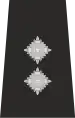 UK Police Inspector Epaulette