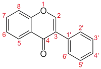 Isoflavone