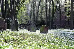 Der jüdische Waldfriedhof im „Judental“ bei Kirchheimbolanden (2011)