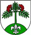 Wappen von Jarabina