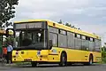 Linienbus Jelcz M125M Vecto