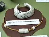 Armband aus Spondylus-Muschel, aus Pulkau, Krahuletz-Museum in Eggenburg (Niederösterreich)