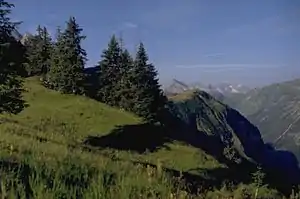 Blick vom Habaum nach Südwesten ins hintere Rappenalptal