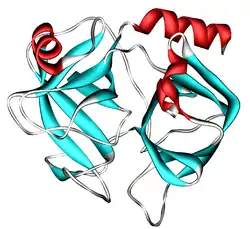 Kallikrein-1