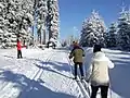 Kammloipe unweit vom Großen Kranichsee