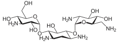 Struktur von Kanamycin B