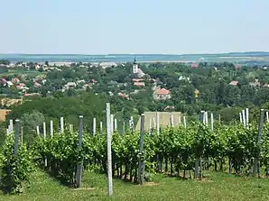 Blick auf das Dorf aus vom naheliegenden Weinberg