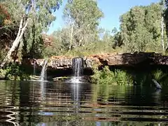 Fern's Pool