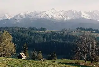 Westkarpaten, Bukowina Tatrzańska, Polen