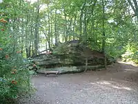 Felsen im Kasbruch