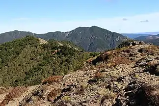 Kaweka Range