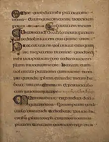 Seite aus Book of Kells, um 800