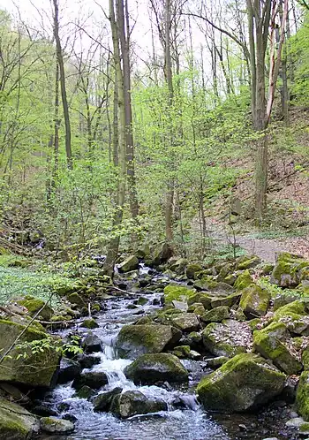 Keppgrund im Frühjahr