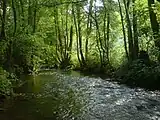 Szene an der Kessach im Hochsommer