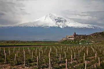 Blick über Chor Virap (Armenien) zum Ararat