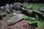 Wedge Tomb von Kilmashogue – die Kammer