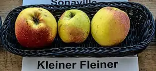 Kleiner Fleiner