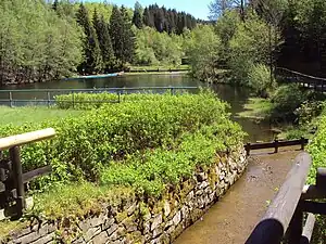 Kleiner Okerteich: Blick über die Hochwasserentlastungsanlage und Wasserfläche zur Badeanstalt