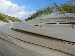 Düne auf dem Kniepsand