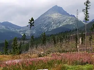 Lúčne sedlo links (westlich) des Bergs Končistá