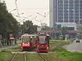 Straßenbahn in Małobądz