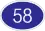 N58