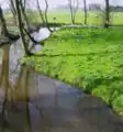 Blick vom Kirchhof der St.-Nikolai-Kirche auf den Wassergraben ins Umland