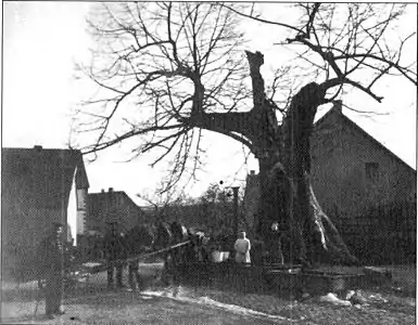 Brunnen vor der „Tausendjährigen Linde“ in Stennweiler um 1900