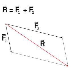 Graphische Darstellung des Scheinlots als resultierender Vektor aus Schwerkraft und Fliehkraft in einem Kräfteparallelogramm