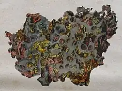 Krasnojarsk-Fragment, handkoloriert, C. von Schreibers (1820)