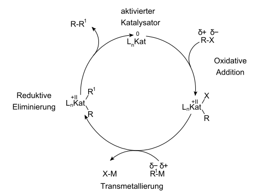 Mechanismus der Kreuzkupplungsreaktion
*Kat = Pd, Pt, Ni
*X = Abgangsgruppe
*R = Aryl, Alkenyl, Acetylenyl