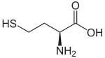 Struktur von L-Homocystein