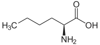 L-Norleucin