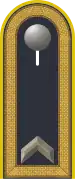 Dienstgradabzeichen auf der Schulterklappe der Jacke des Dienstanzuges für Luftwaffenuniformträger.