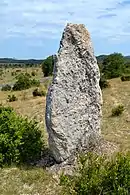 Menhir La-Vacquerie