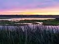 Sonnenaufgang im Feuchtgebiet Lagoa do Peixe (Brasilien)