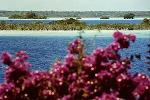 Lagune von Bacalar