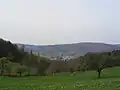 Reichenbach vor dem Felsberg, links zieht sich die Abbaulinie des Baryt-Quarz-Ganges den Teufels-Berg-Hang hoch, dahinter der Granodiorit-Melibokus