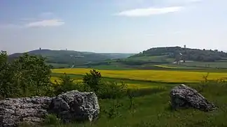 Oberleiser Berg (rechts) von der Steinbacher Heide aus gesehen