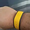 Disney Magicband (circa 2015)