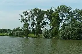 Naturschutzgebiet Letea-Wald