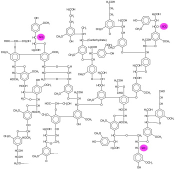 Beispiel einer Ligninsulfonatstruktur