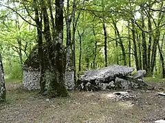 Dolmen von Peyrelevade