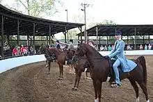 Kentucky Jodhpurs, 2006