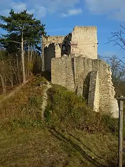 Blick aus Westen auf die Schutzmauer